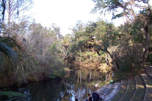 Go off-roading in the Hillsborough River State Park